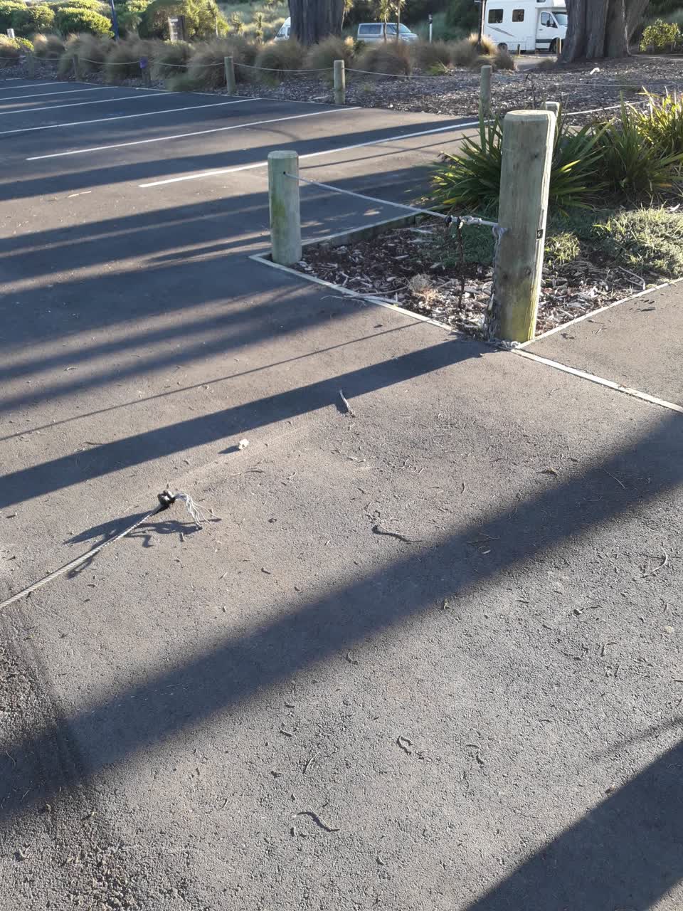 The photograph attached to this parks report