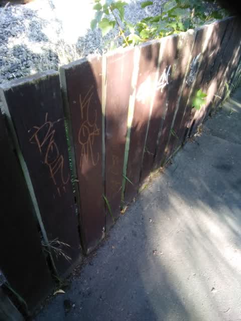 Graffiti, a report photo