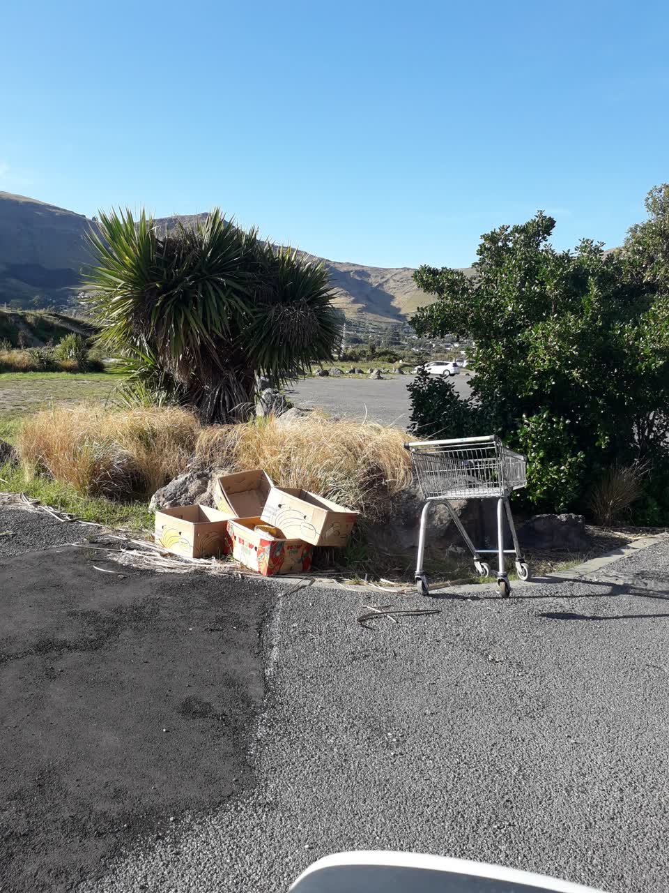 The photograph attached to this rubbish/recycling report