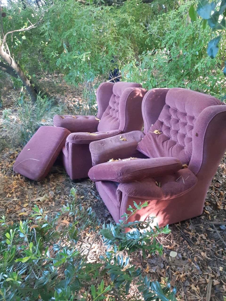 The photograph attached to this parks report