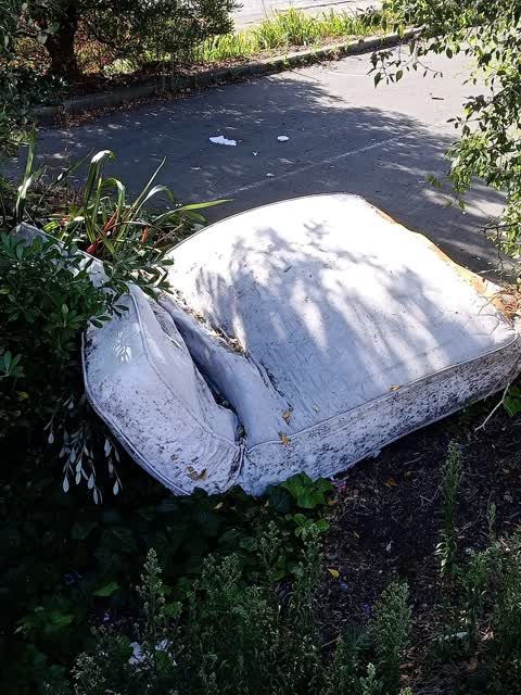 Rubbish/Recycling, a report photo