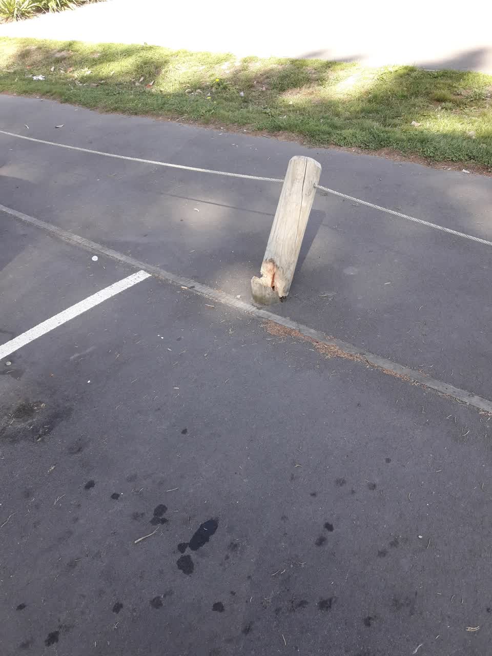 The photograph attached to this parks report