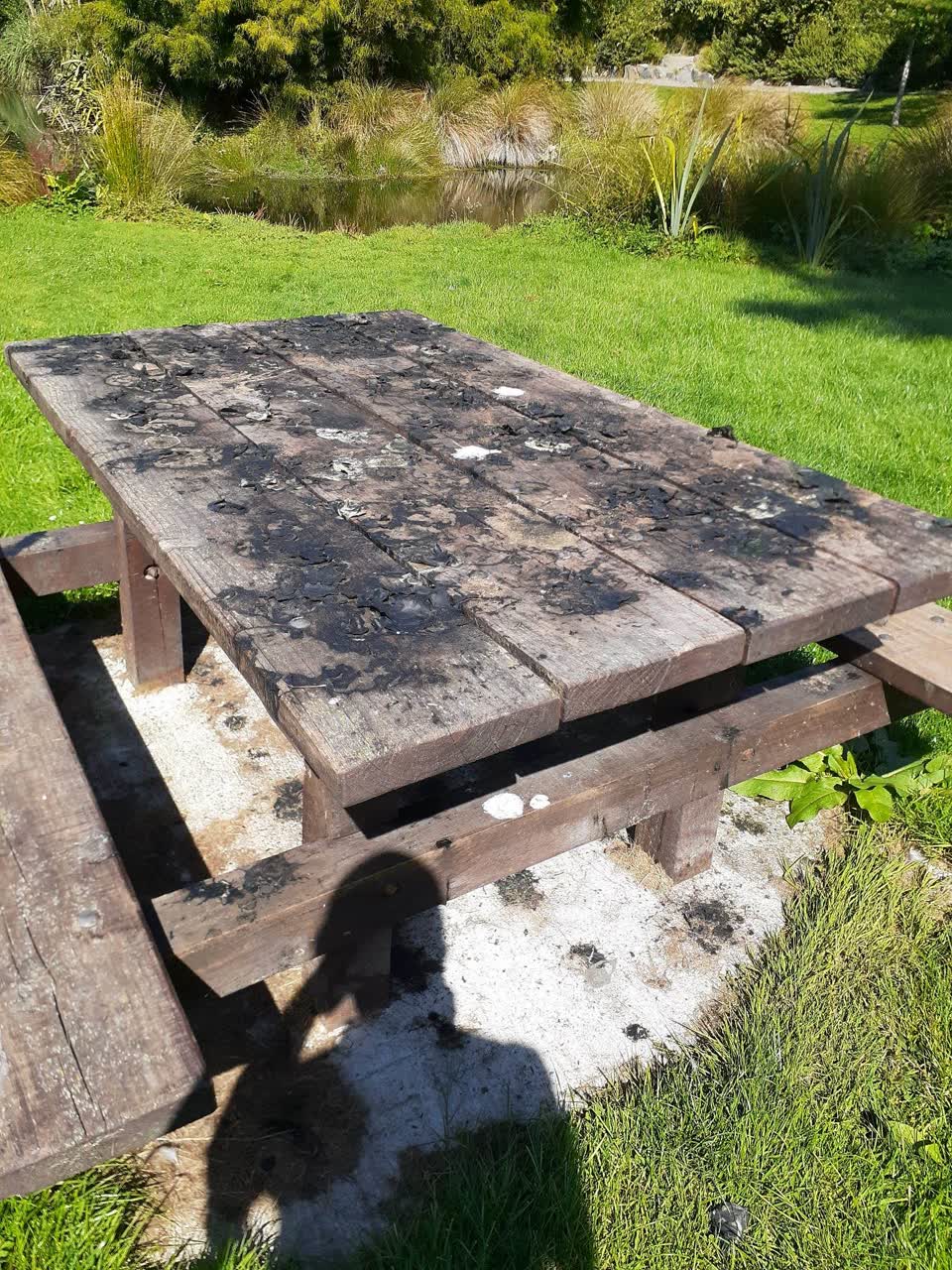 The photograph attached to this parks report