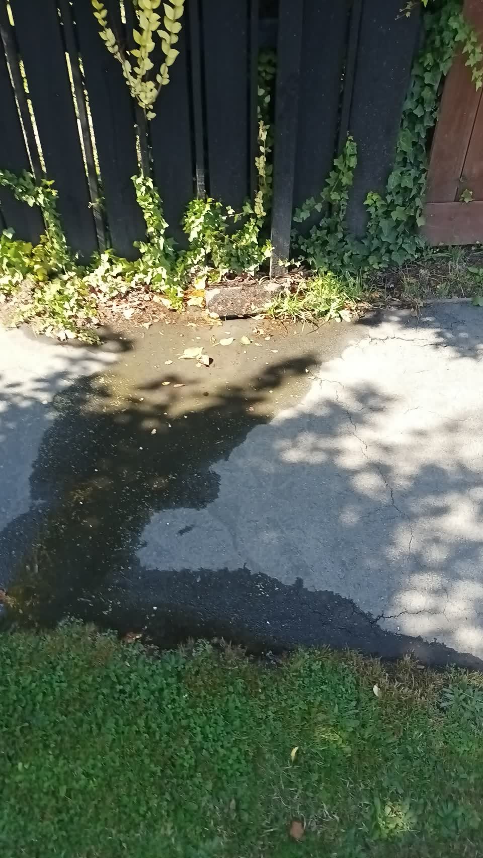 The photograph attached to this water leak report