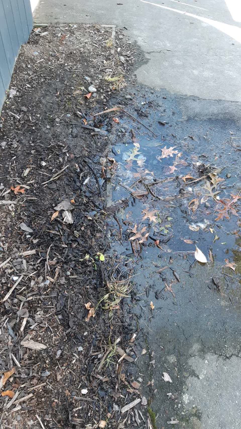 The photograph attached to this water leak report