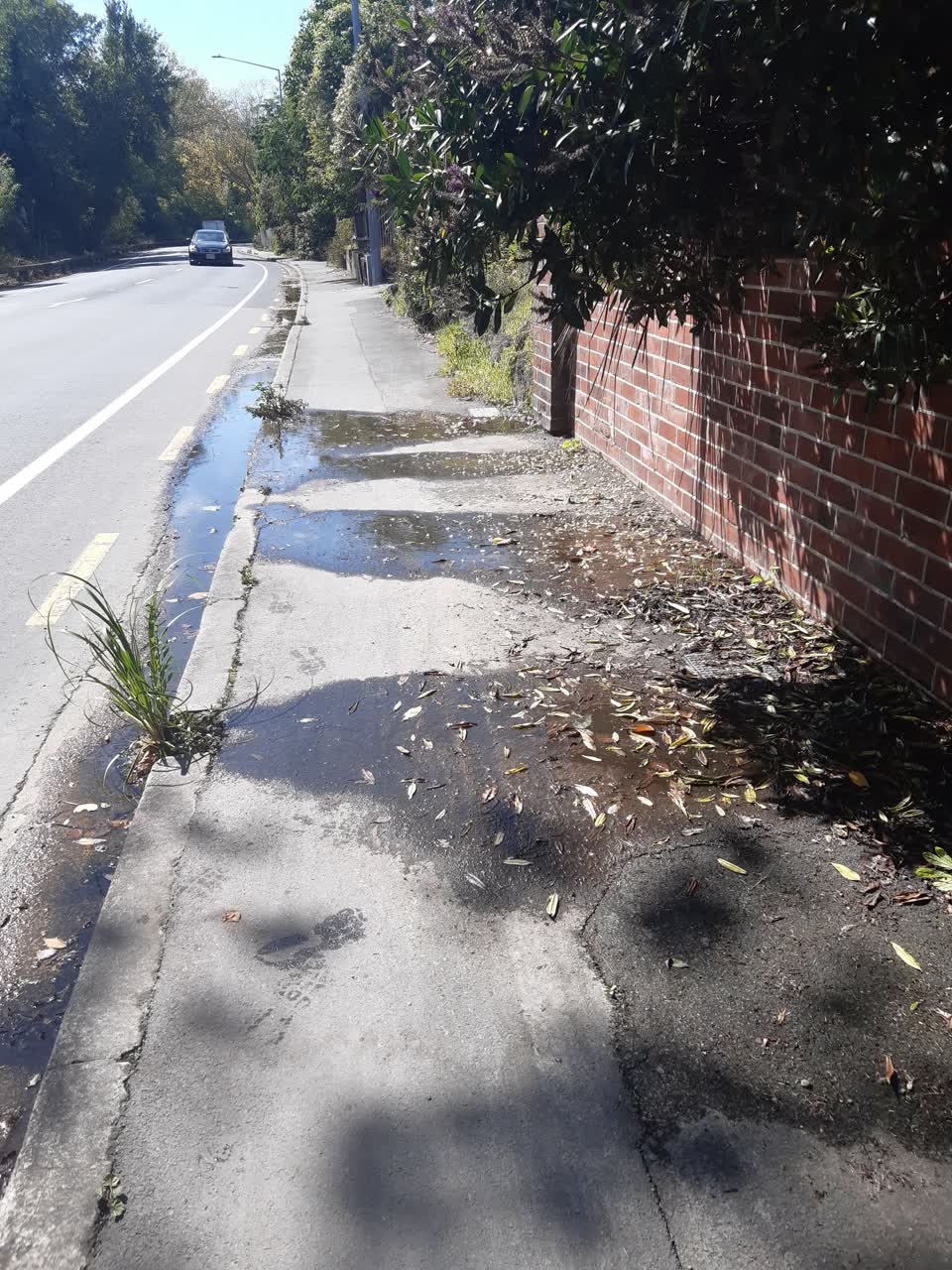 The photograph attached to this flooding report
