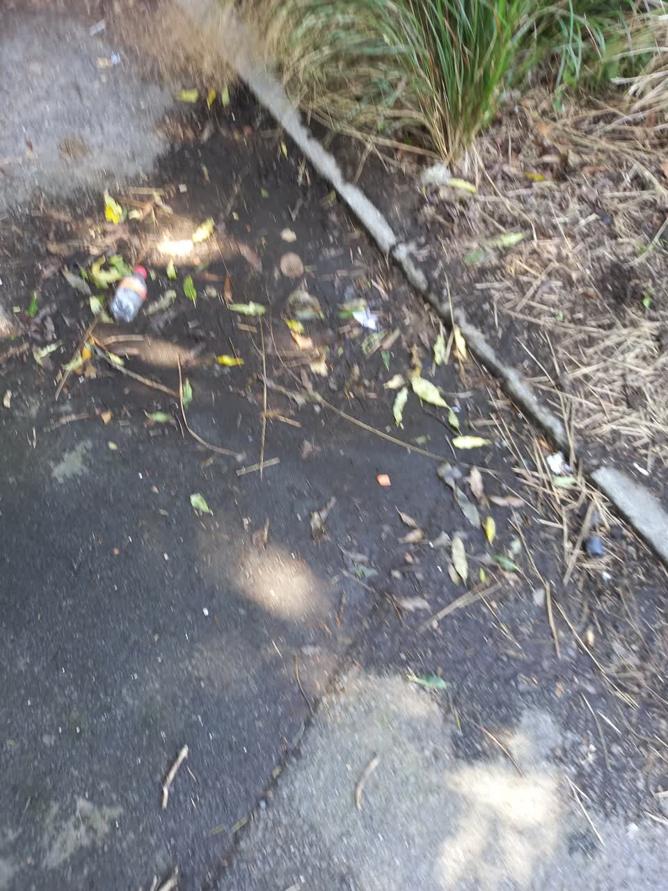 The photograph attached to this water leak report