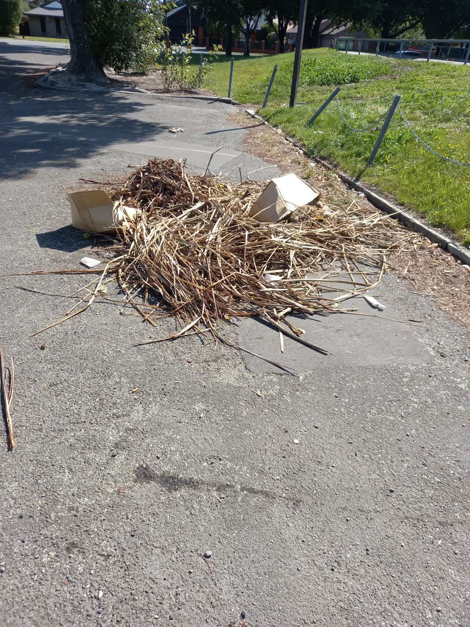 The photograph attached to this rubbish/recycling report