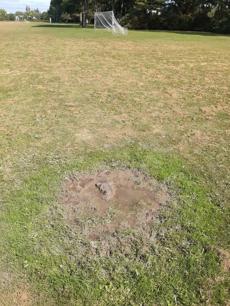 The photograph attached to this parks report