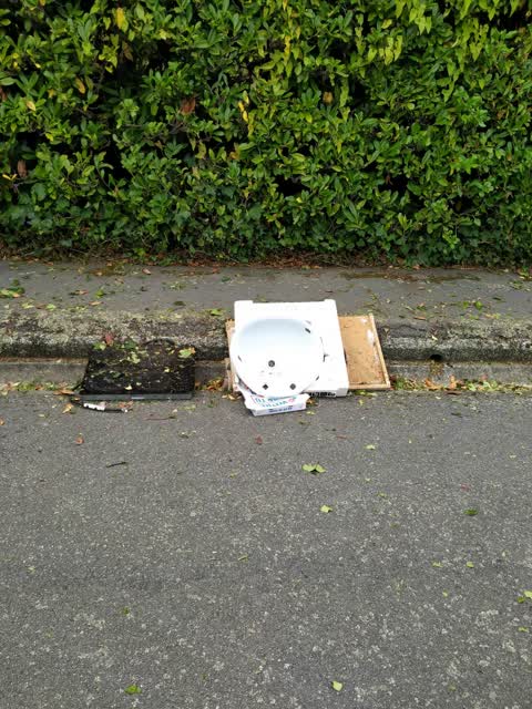 Rubbish/Recycling, a report photo