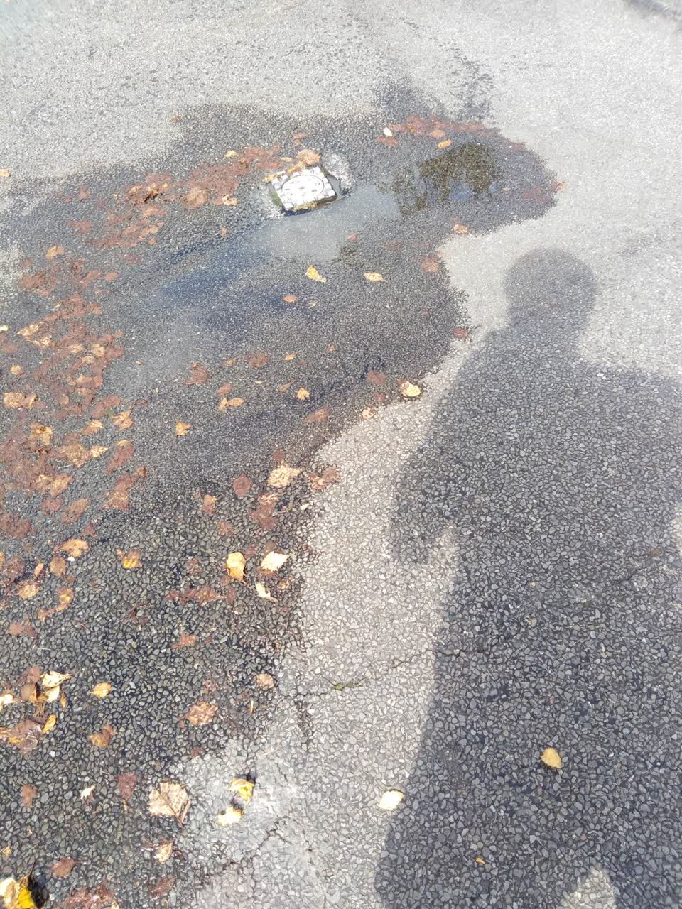 The photograph attached to this water leak report
