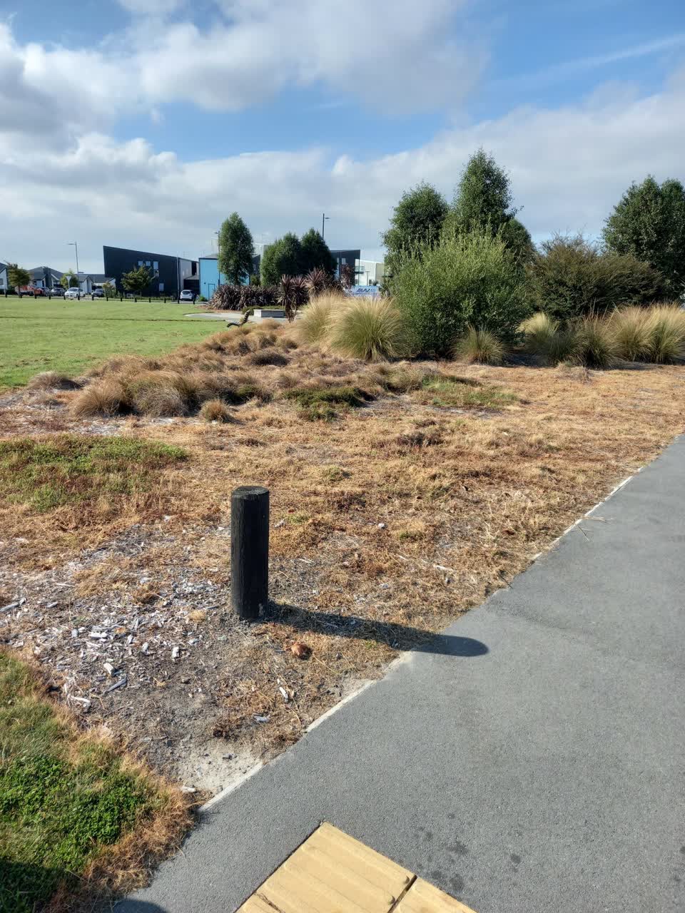 The photograph attached to this parks report