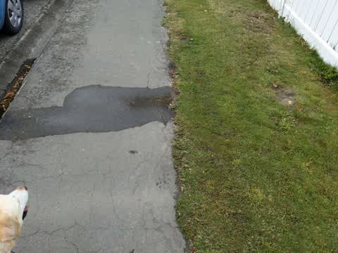 Water Leak, a report photo