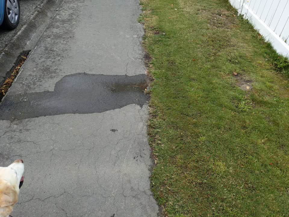 The photograph attached to this water leak report