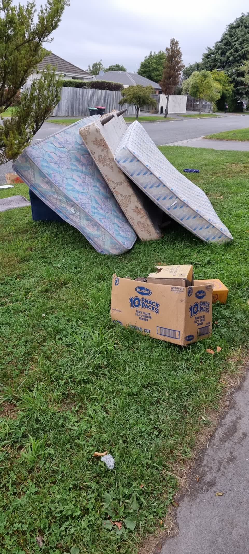 The photograph attached to this rubbish/recycling report