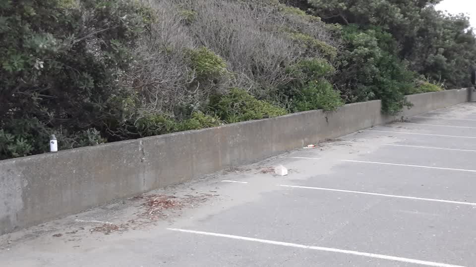 The photograph attached to this parks report