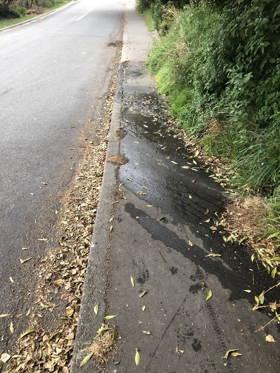 The photograph attached to this water leak report