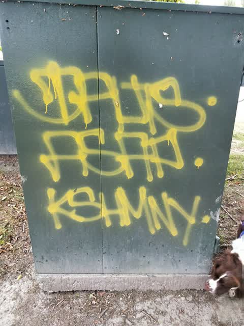 Graffiti, a report photo
