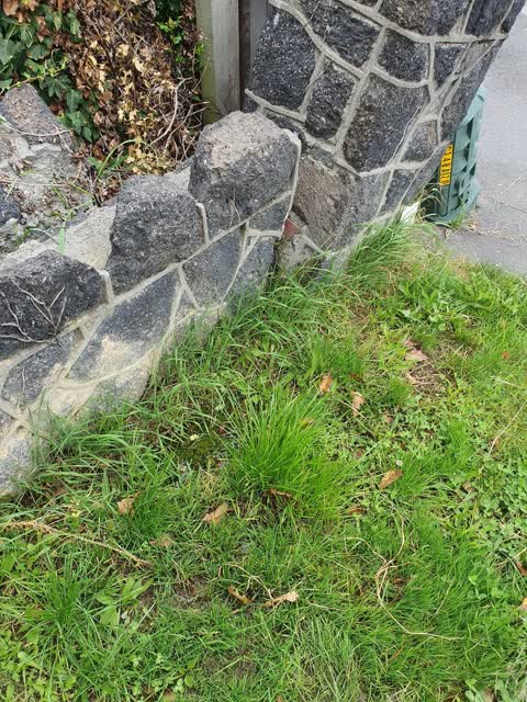 Water Leak, a report photo