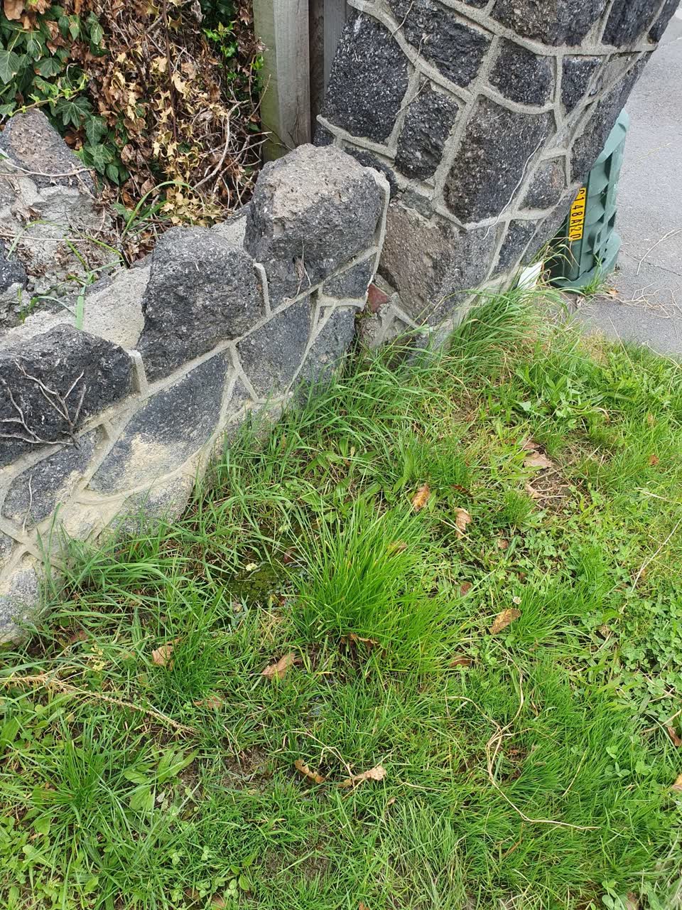 The photograph attached to this water leak report