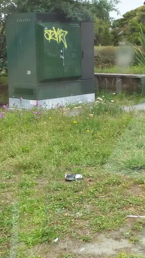 Graffiti, a report photo