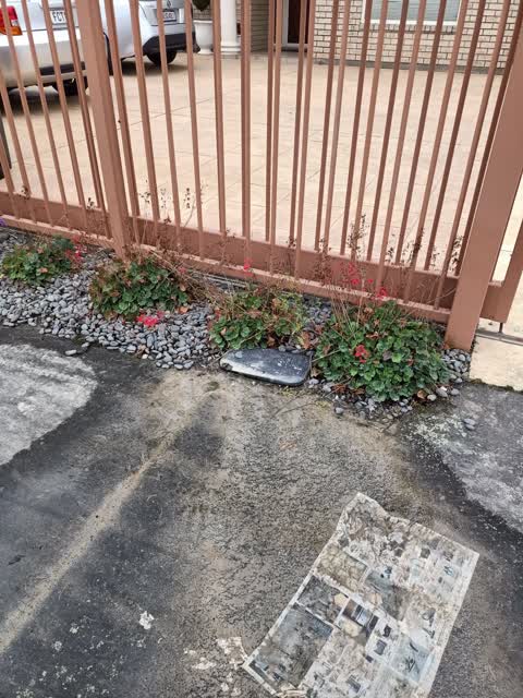 Water Leak, a report photo
