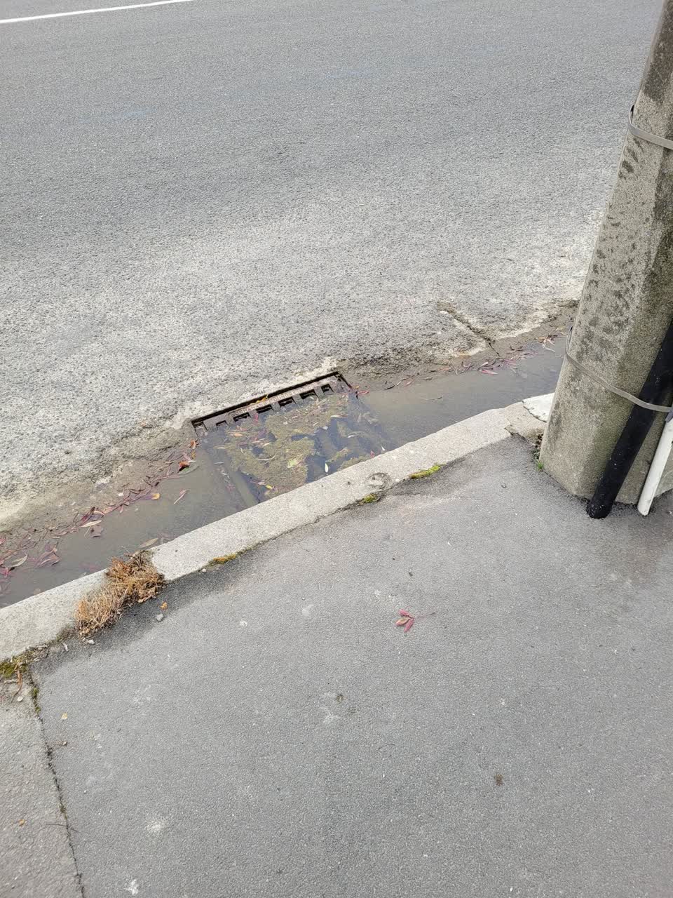 The photograph attached to this wastewater/stormwater report