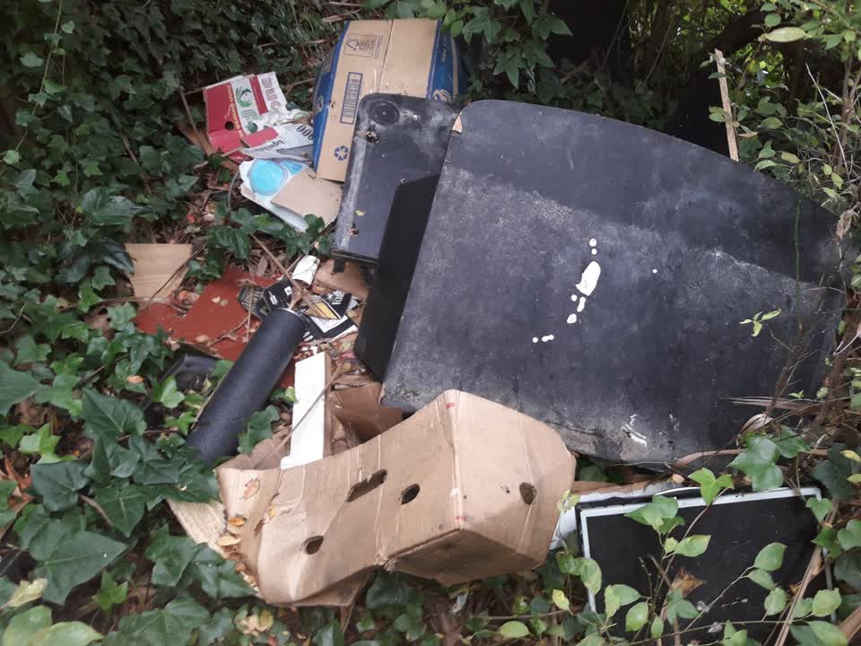The photograph attached to this parks report