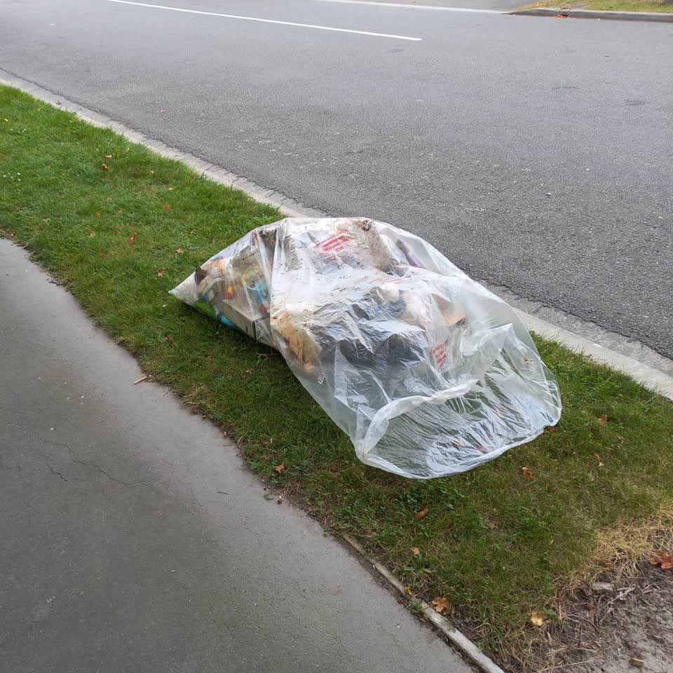 The photograph attached to this rubbish/recycling report