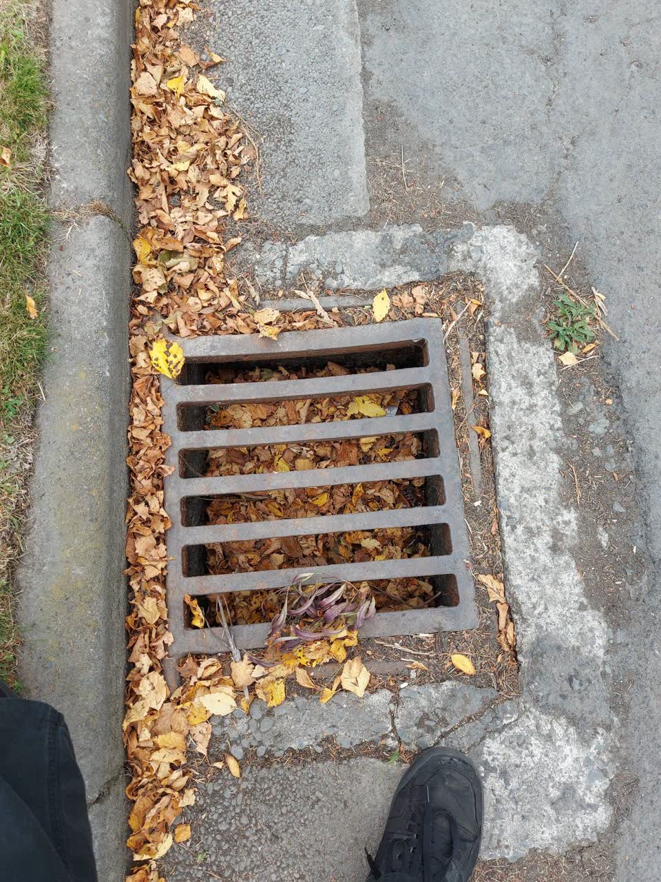 The photograph attached to this wastewater/stormwater report