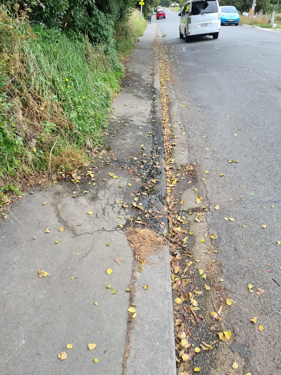The photograph attached to this water leak report