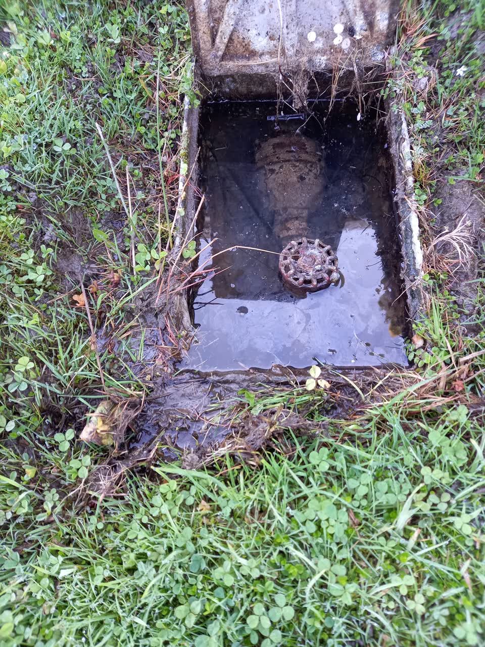 The photograph attached to this water leak report