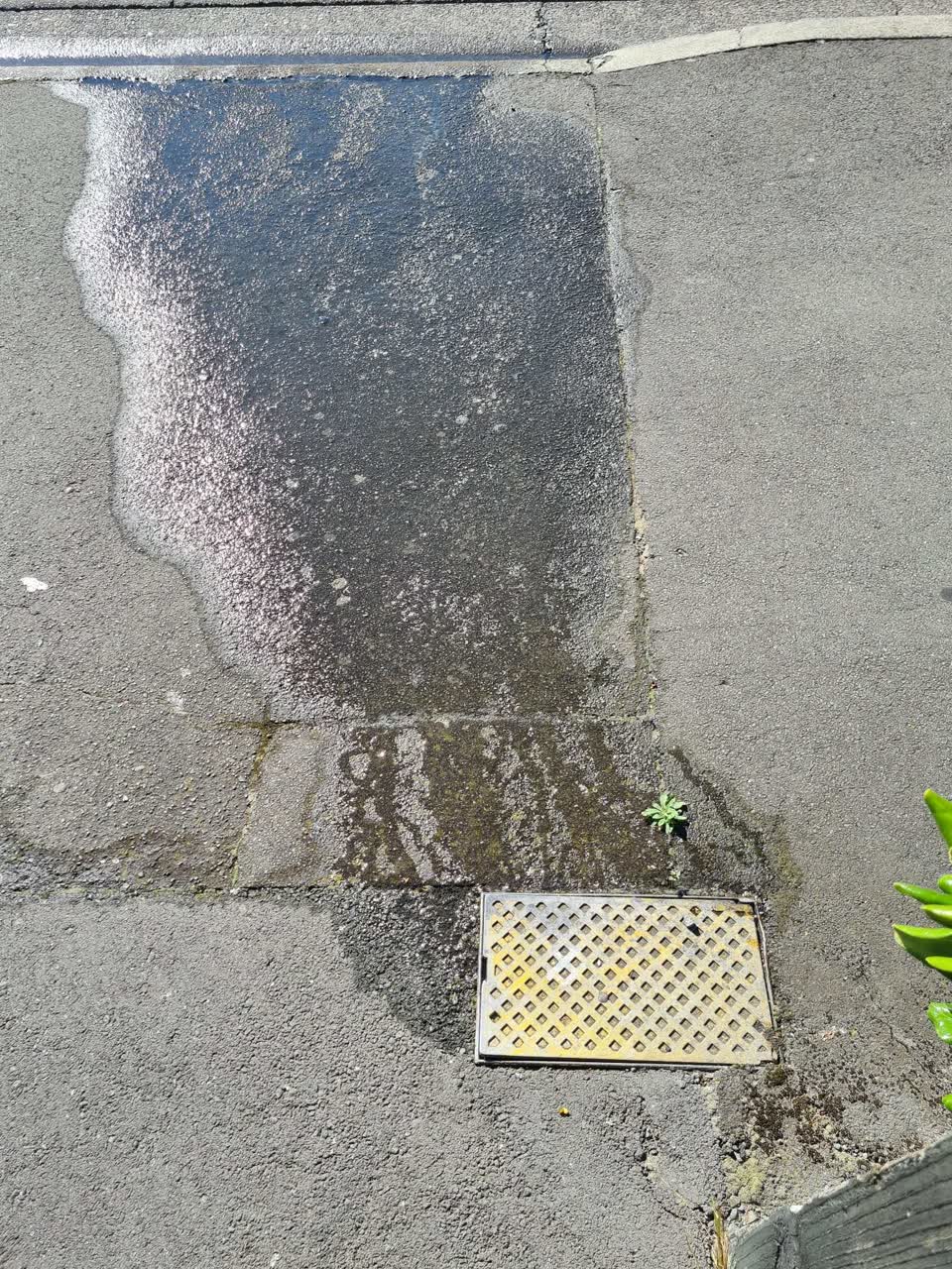 The photograph attached to this water leak report