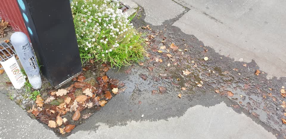 The photograph attached to this water leak report