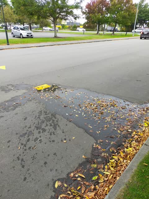 Water Leak — a report photo