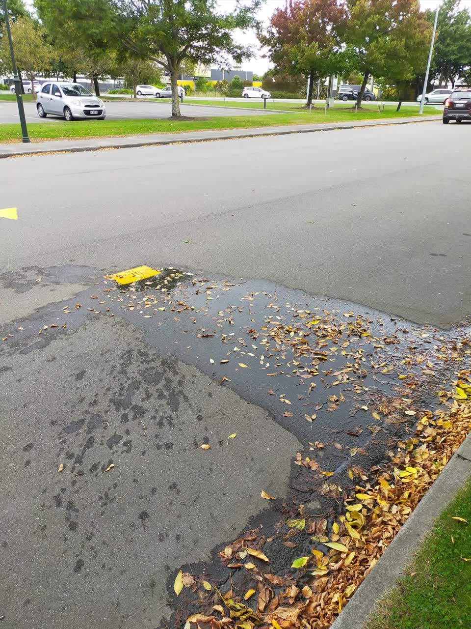 The photograph attached to this water leak report