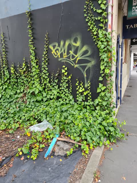 Graffiti, a report photo