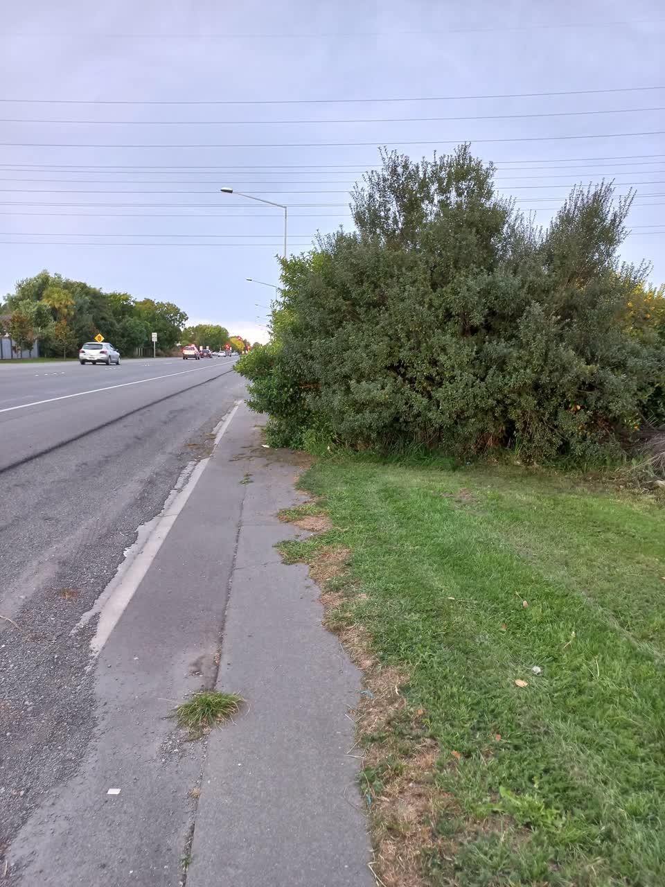 The photograph attached to this parks report