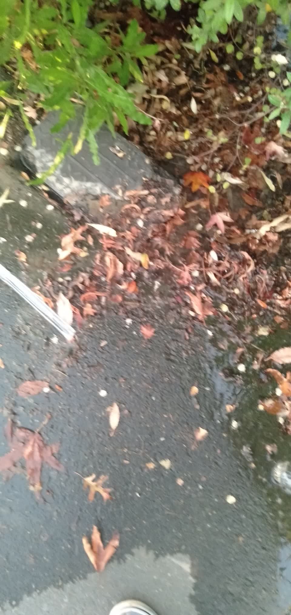The photograph attached to this water leak report