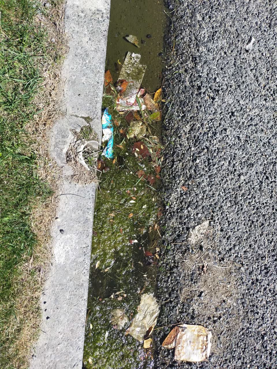 The photograph attached to this sewer - leak / blockage report