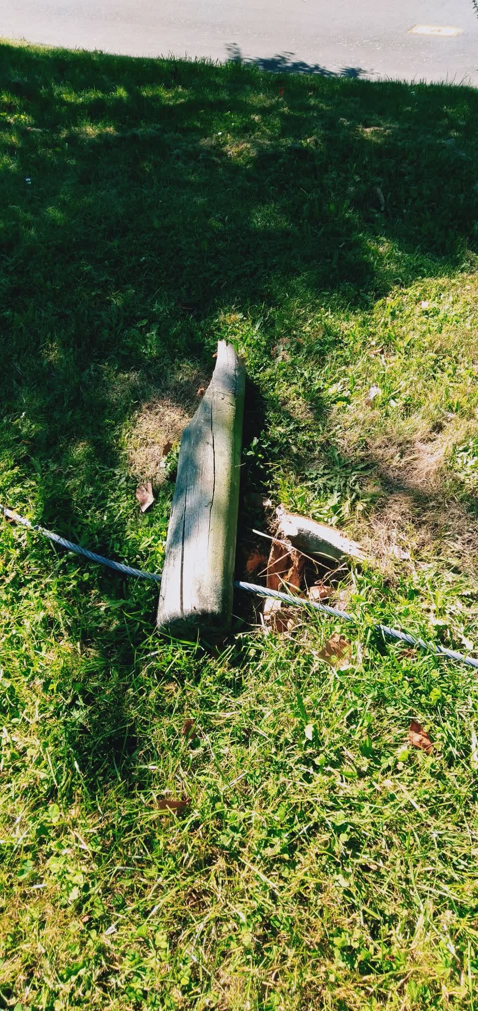 The photograph attached to this parks report