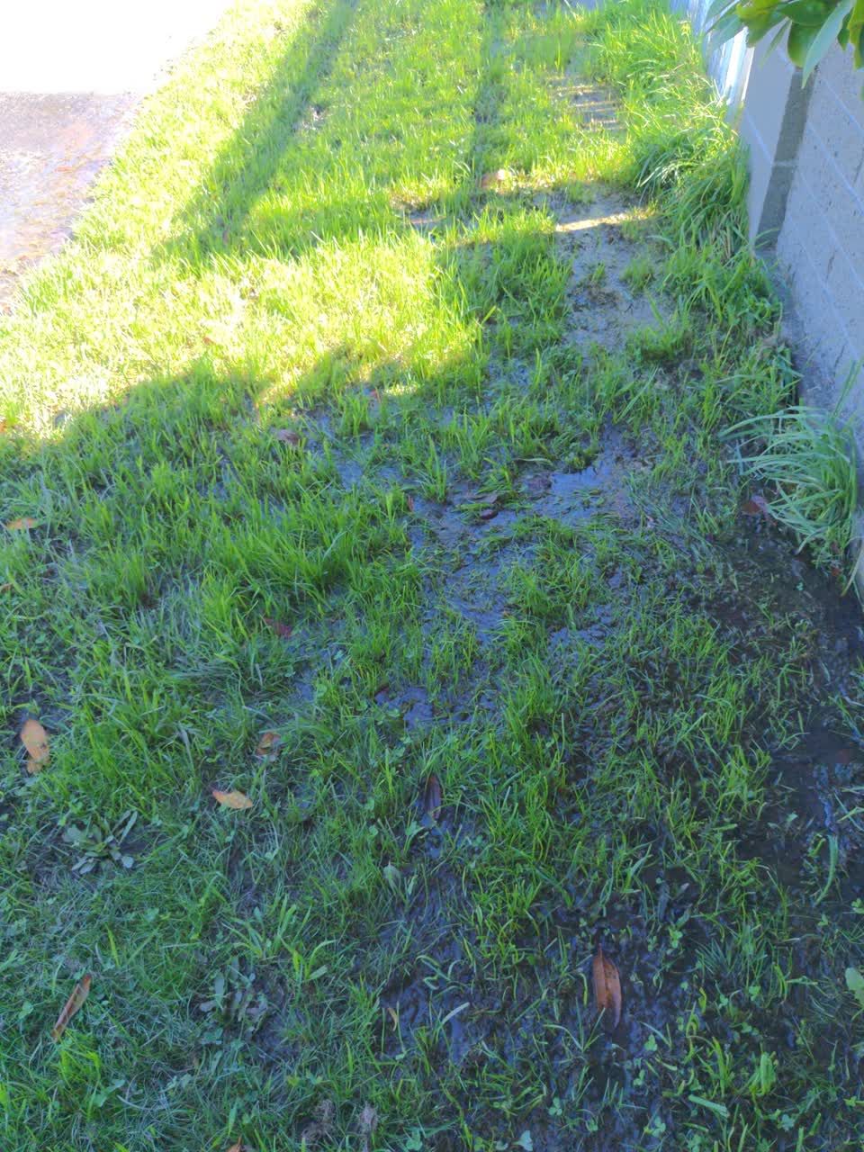 The photograph attached to this water leak report