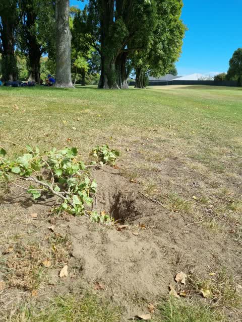 Parks — a report photo