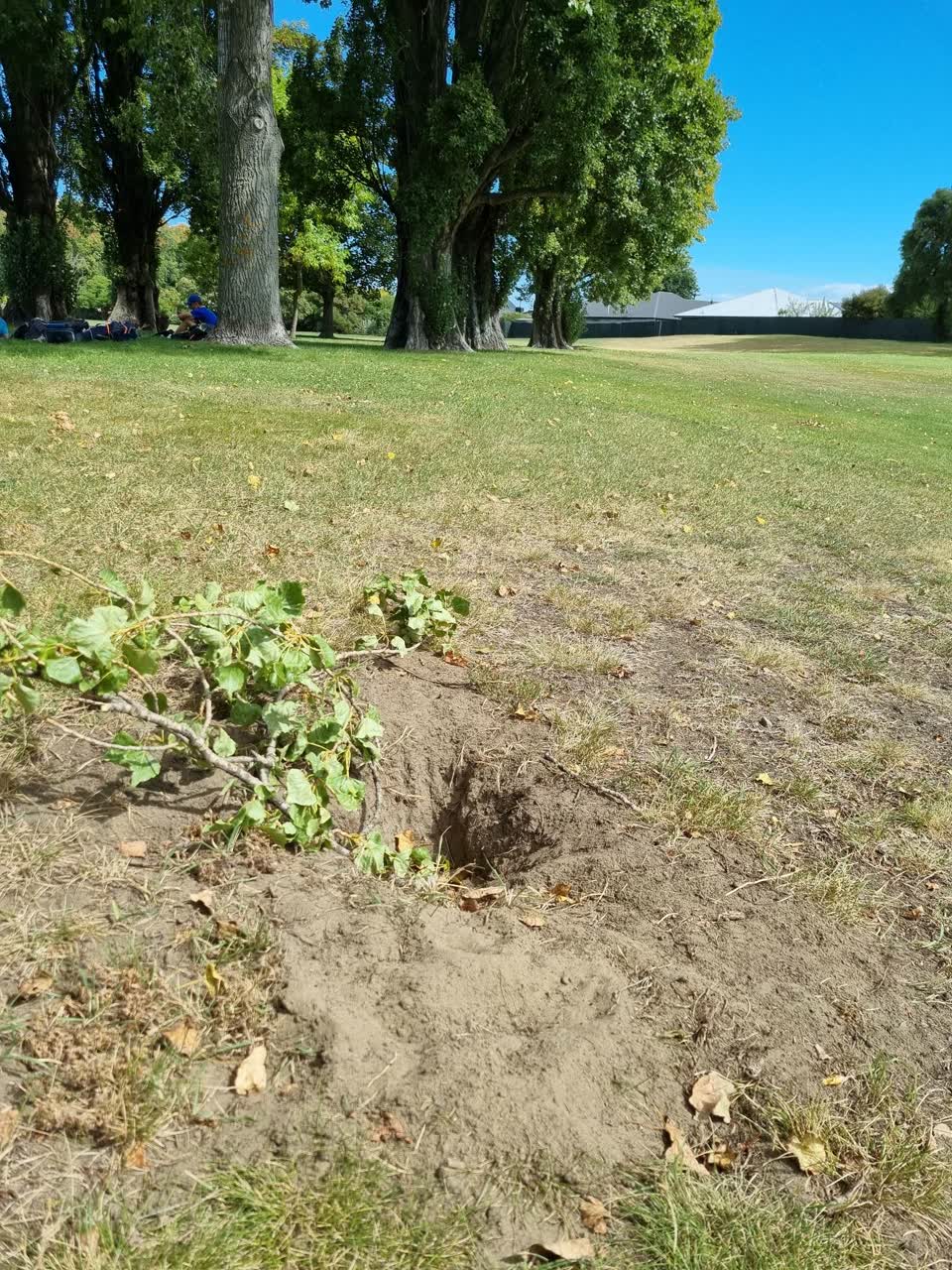The photograph attached to this parks report