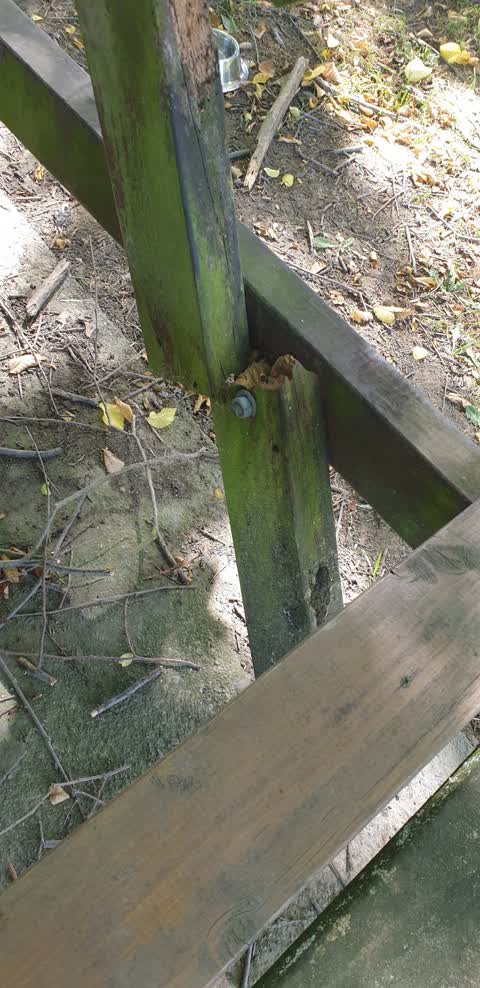 Parks, a report photo