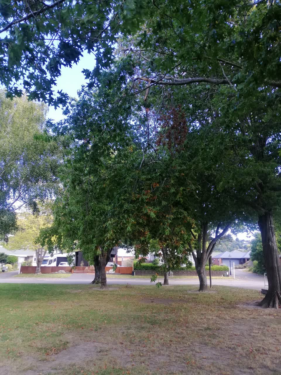 The photograph attached to this parks report