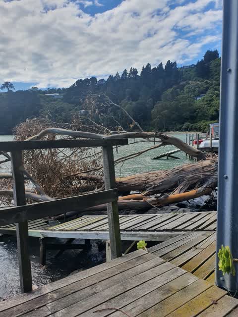 General Request, a report photo