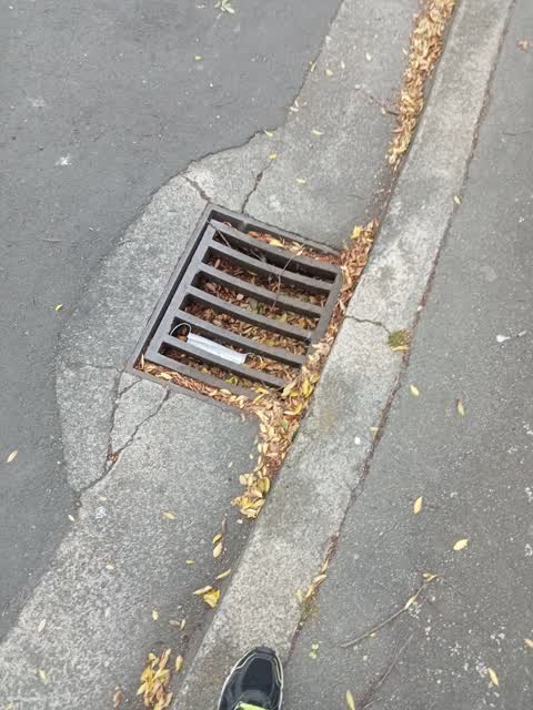 Wastewater/Stormwater, a report photo