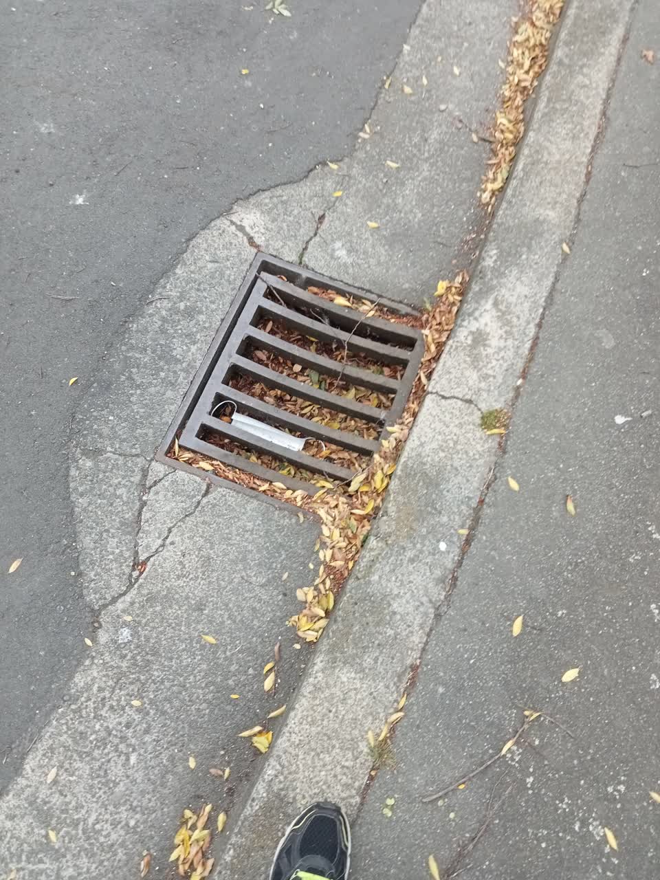 The photograph attached to this wastewater/stormwater report