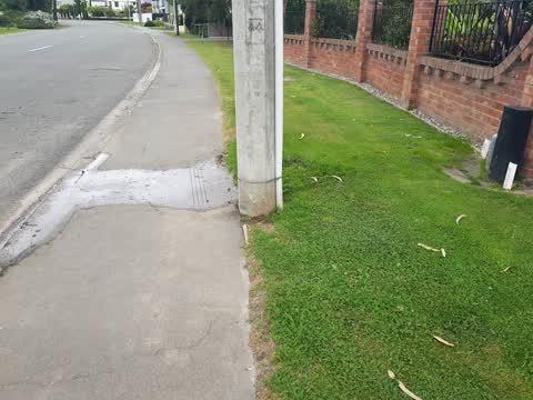 Water Leak, a report photo